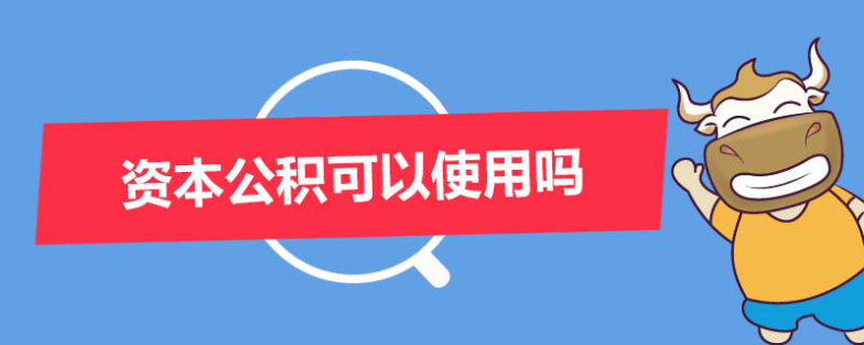 资本公积(所有者权益的一种准备)
