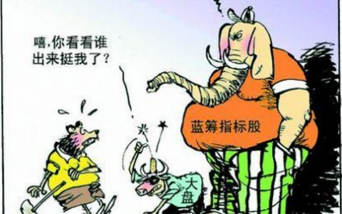 蓝筹股(股票专业术语)