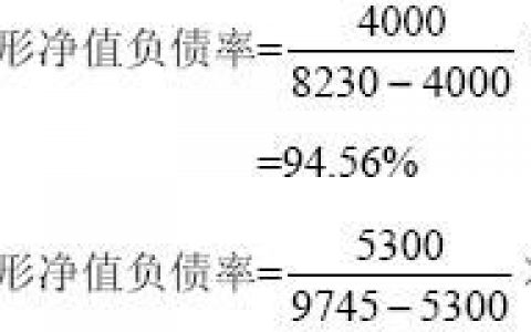 产权比率(经济学名词)