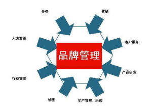 品牌管理(管理学术语)