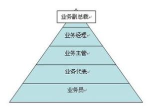 营销学(研究企业经营与销售活动的学科)