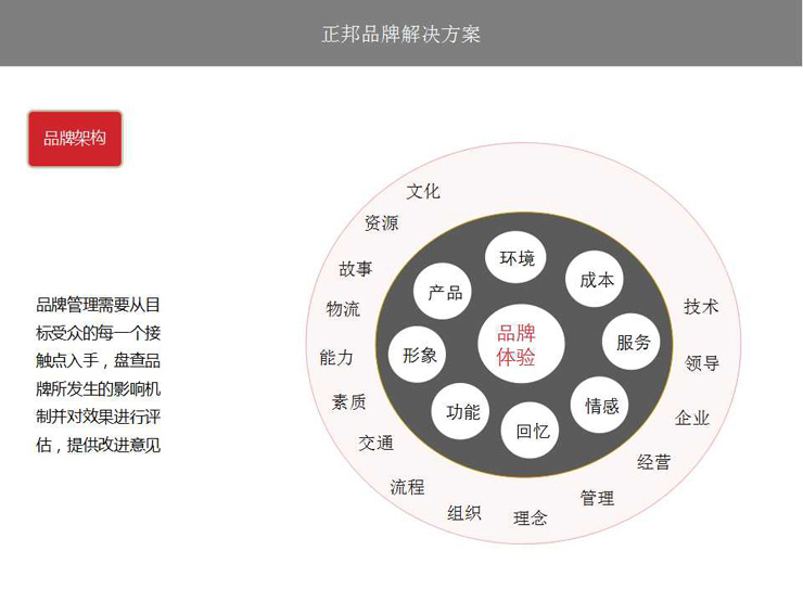 品牌策略(企业管理与市场营销方法)