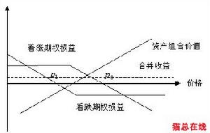 看涨期权(股市操盘的手段)