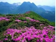 莽山(湖南省宜章县莽山景区)