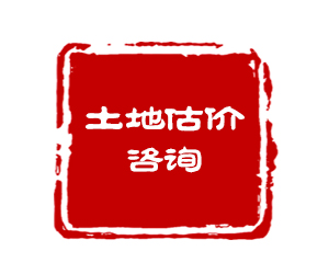 土地估价(估价人员依据土地估价的原则与方法)