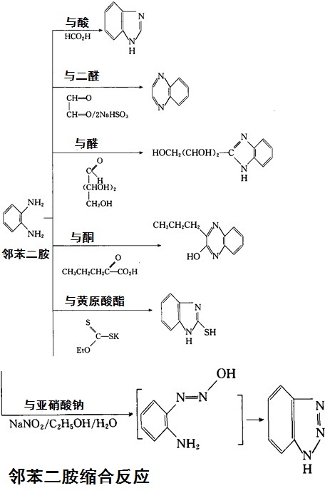 胺(化合物)