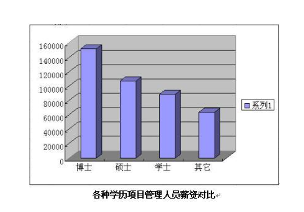 项目经理(项目团队的领导者)