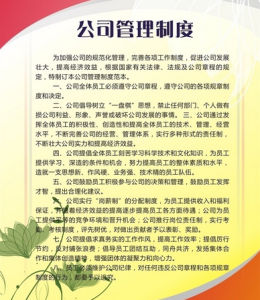 公司管理制度(规范公司建设制度)