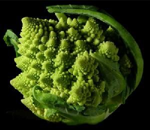 罗马花椰菜(十字花科芸薹属一二年生草木植物)