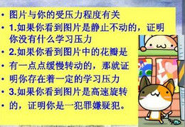 压力测试(市场表现图)