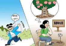 庞氏骗局(金融领域投资诈骗的称呼)