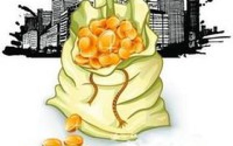 堤围费(地方税务局征收的一项税种)