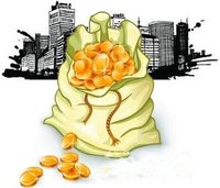 堤围费(地方税务局征收的一项税种)