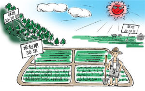 土地承包法(中华人民共和国法律法规)