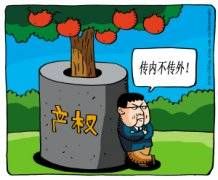法人财产权(法人所拥有的财产权)