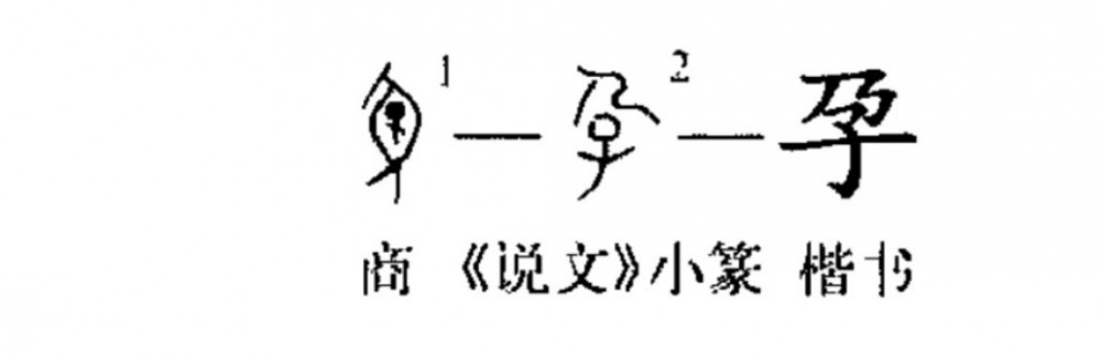 孕(汉语汉字)