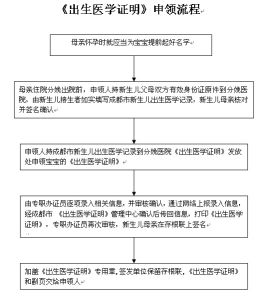 出生证(证明新生儿出生信息的文件)
