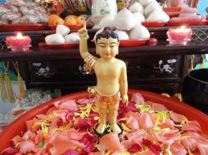 佛诞(纪念和庆祝佛祖释迦牟尼诞生的日子)