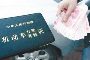 本本族(身上揣着的N个证书来混饭的人)