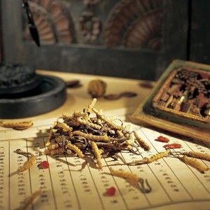 减肥方法(身材管理)