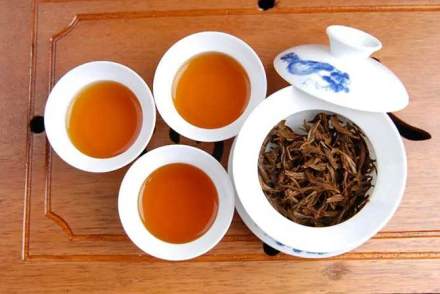 金骏眉(山茶科山茶属植物)
