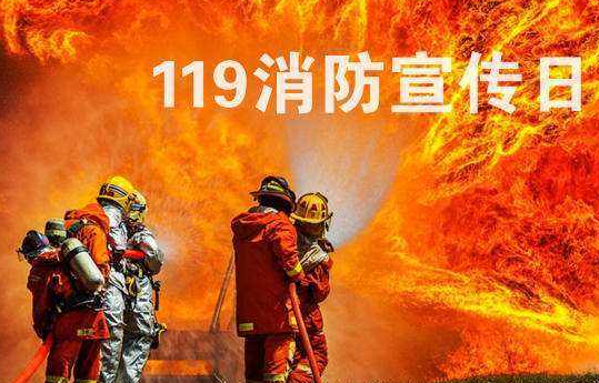 消防宣传日(公安部消防安全活动)