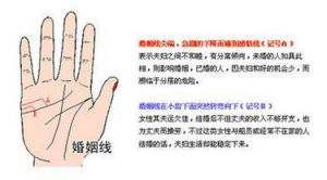 手相学(关于手相的学识)