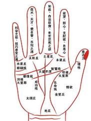 手纹(手掌上的纹路)