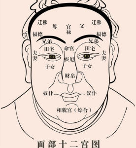 夫妻宫(相学名词)