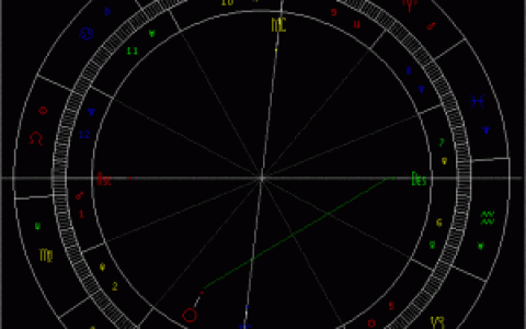 太阳星座(占星学术语)
