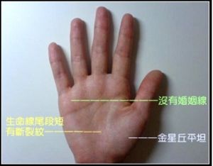 掌纹(手掌上的纹线)