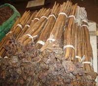 牦牛鞭(一种中药)
