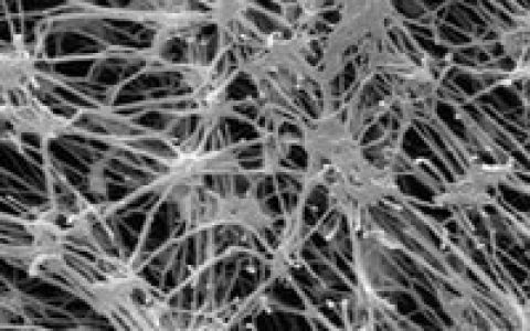 洛弛(运动品牌)