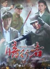 暗行者(由刘长德、王时雨等主演的电视剧)