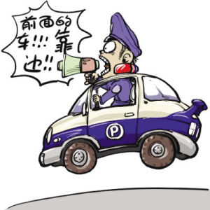 特权车(特殊车群)