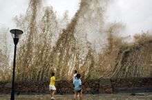 台风圣帕(2007年第8号超强台风)