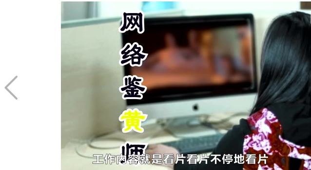 鉴黄师(为“扫黄打非”的需要而设立的特殊岗位)