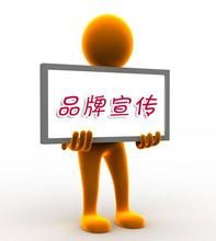 宣传(传播学名词)