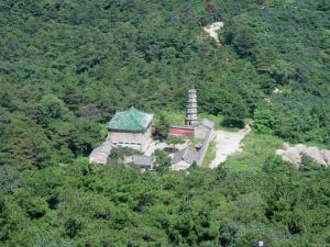 鲁山国家森林公园(博山风景旅游区的重要景区)