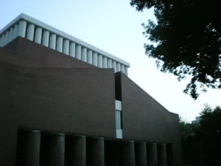 北京林业大学(世界一流学科建设高校)