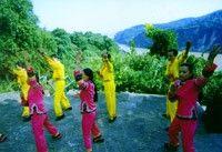 长阳巴山舞(集体舞蹈)