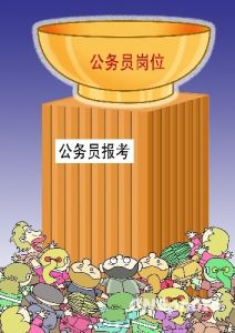 地方公务员(国家公务员的一种)