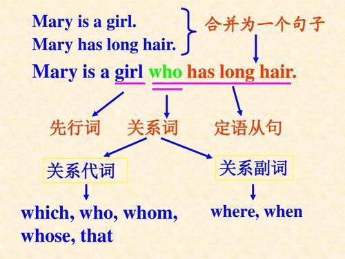 关系代词(用来引导定语从句的词语)