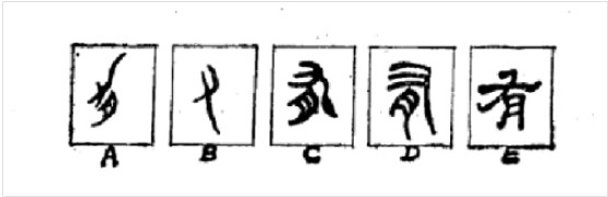 有(汉语文字)