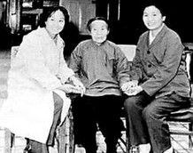 杨三姐(唐山市滦南县政协委员)