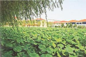 长江村(江苏省江阴市夏港街道长江村)