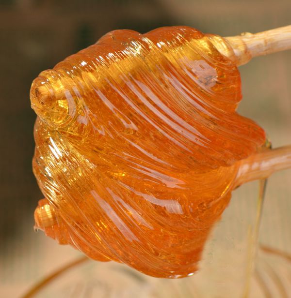 麦芽糖(碳水化合物的一种)