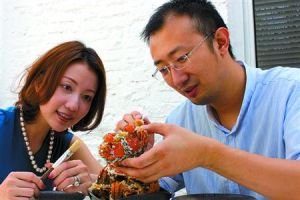 赵若虹(现任美国最大生活媒体集团销售副总裁)