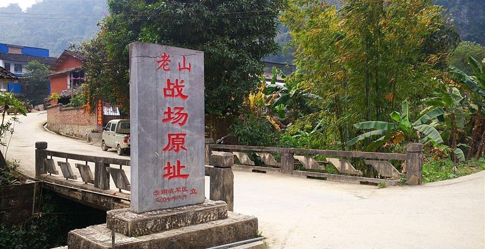 老山战役(中国历史战役)