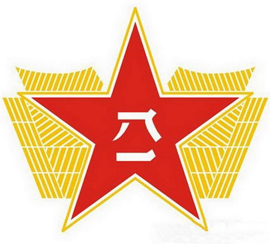 中国人民解放军空军(中国武装力量中的一个军种)